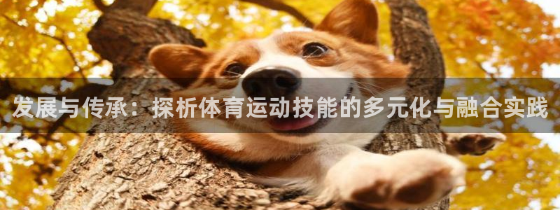 利记官方正版app开户：发展与传承：探析体育运动技能