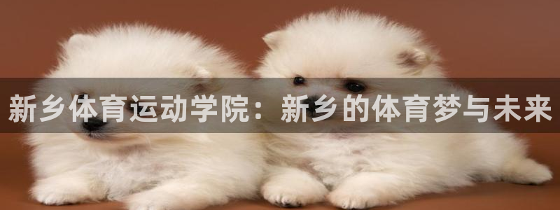 利记官方正版app娱乐首页网站大全：新乡体育运动学院