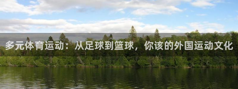 德国利记官方正版app集团：多元体育运动：从足球到篮
