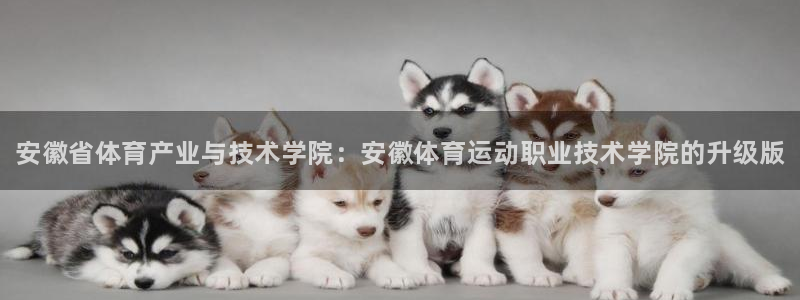 利记官方正版app代理：安徽省体育产业与技术学院：安