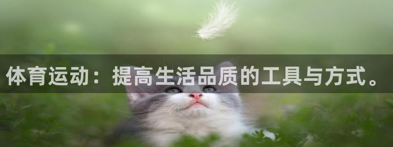 利记官网下载：体育运动：提高生活品质的工具与方式。