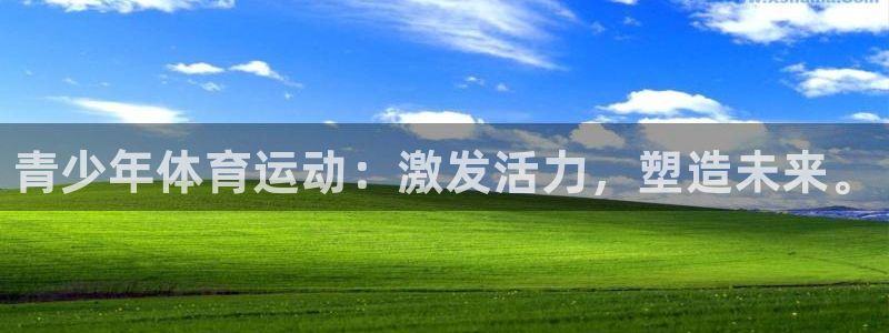 利记官方正版app娱乐：青少年体育运动：激发活力，塑
