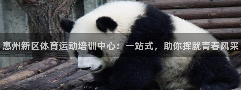 利记官网下载平台是正规平台吗知乎：惠州新区体育运动培