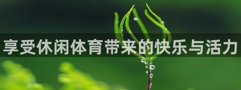 利记官方平台体育