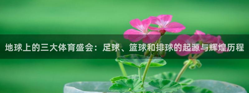 利记官方正版app集团：地球上的三大体育盛会：足球、