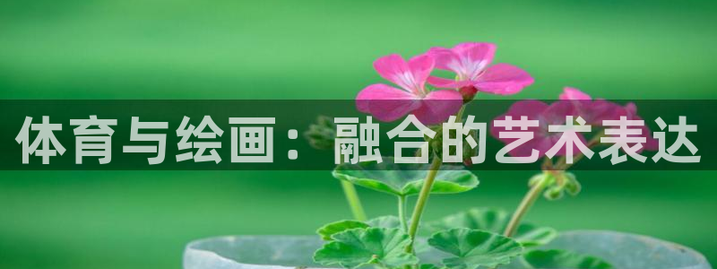利记官方正版app科技：体育与绘画：融合的艺术表达