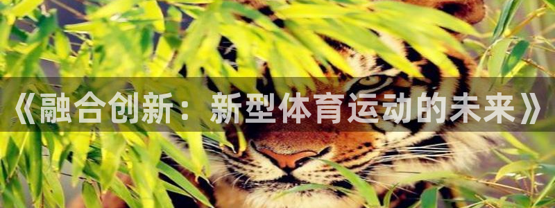 利记官网下载招商电话号码：《融合创新：新型体育运动的