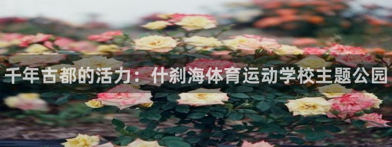 海南利记官网下载发展怎么样：千年古都的活力：什刹海体