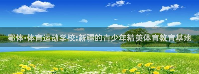利记官网下载是干嘛的公司：鄂体·体育运动学校:新疆的