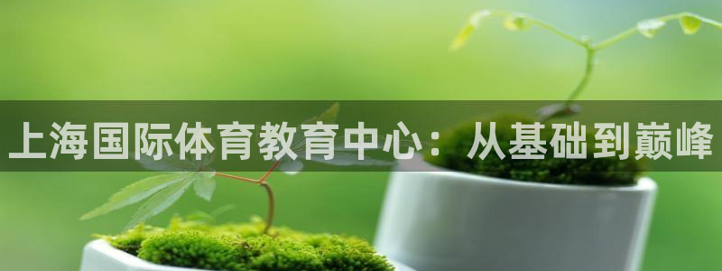 利记官网下载平台APP：上海国际体育教育中心：从基础到巅峰