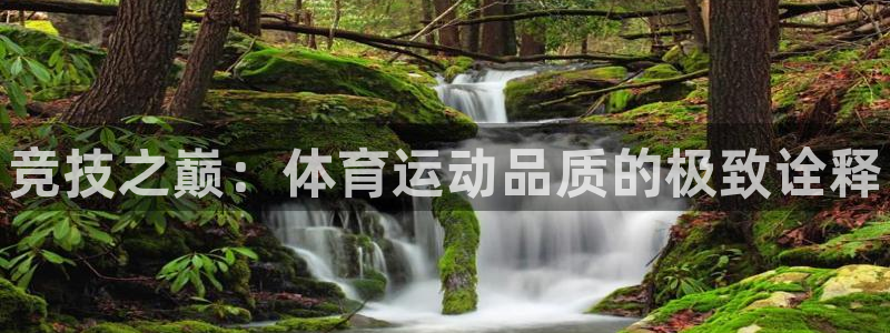 利记官网下载招商电话号码是多少：竞技之巅：体育运动品