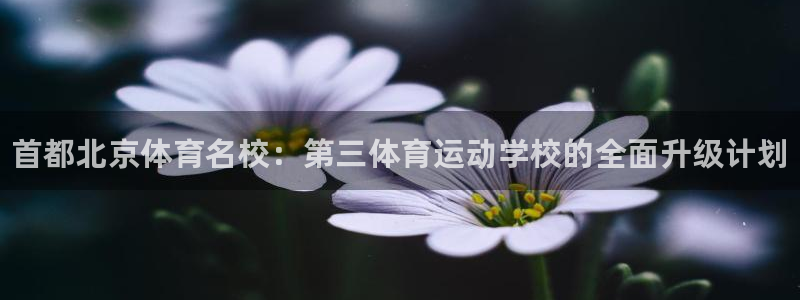 利记官网下载娱乐：首都北京体育名校：第三体育运动学校