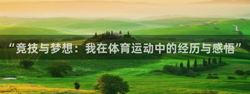 注册利记官方正版app：“竞技与梦想：我在体育运动中