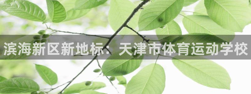 利记官网下载平台注册要钱吗安全吗：滨海新区新地标：天津市体育