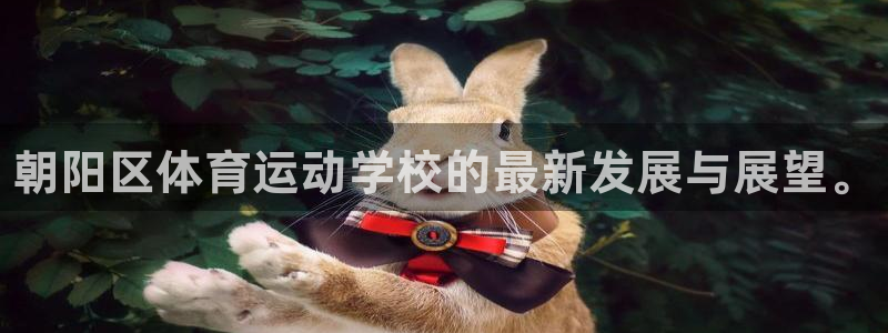 利记官方正版app官网：朝阳区体育运动学校的最新发展