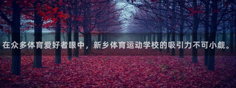 利记官方正版app科技：在众多体育爱好者眼中，新乡体育运动学