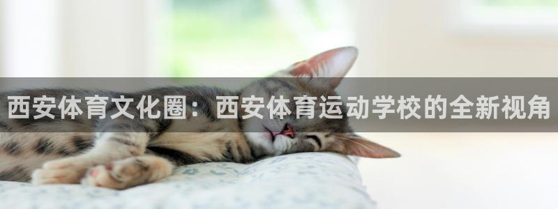 利记官方正版app集团logo：西安体育文化圈：西安体育运动
