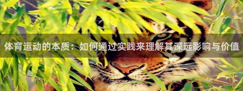 利记官方正版app集团官网网址：体育运动的本质：如何通过实践