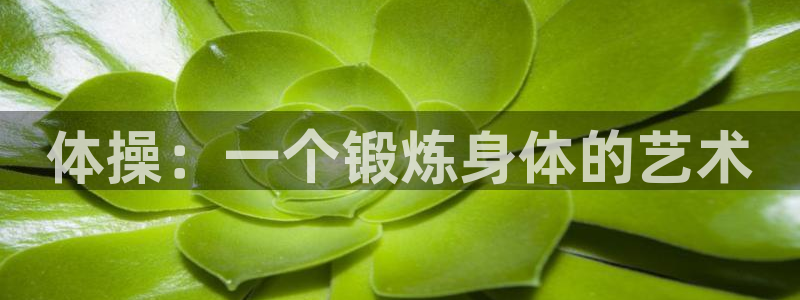 利记官网下载招商电话号码:体操:一个锻炼身体的艺术