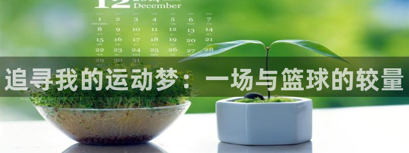 利记官方平台体育